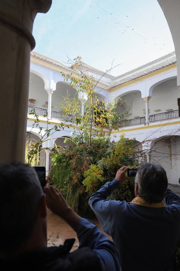 En imágenes, el arranque del Festival Flora 2018 en Córdoba