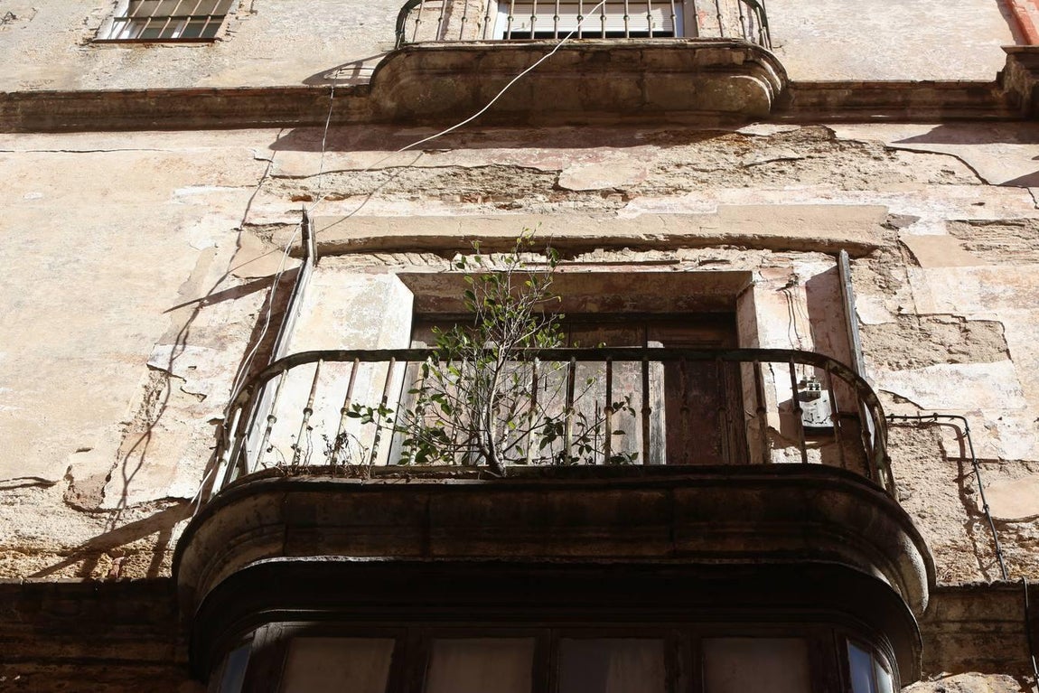 FOTOS: Un recorrido por las fincas de infravivienda en Cádiz