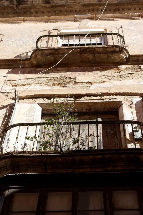 FOTOS: Un recorrido por las fincas de infravivienda en Cádiz