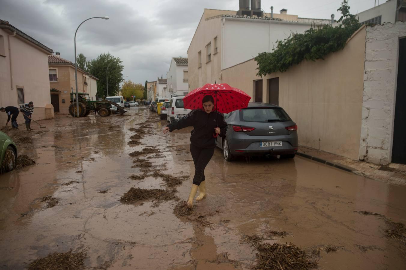 Campillos tras la inundación