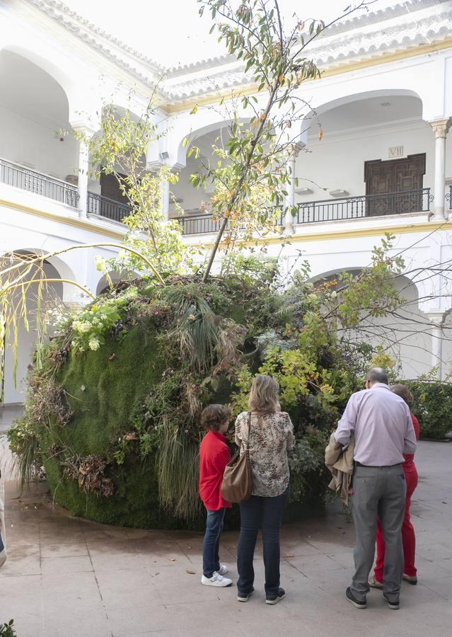 El día de San Rafael en el Festival Flora de Córdoba, en imágenes