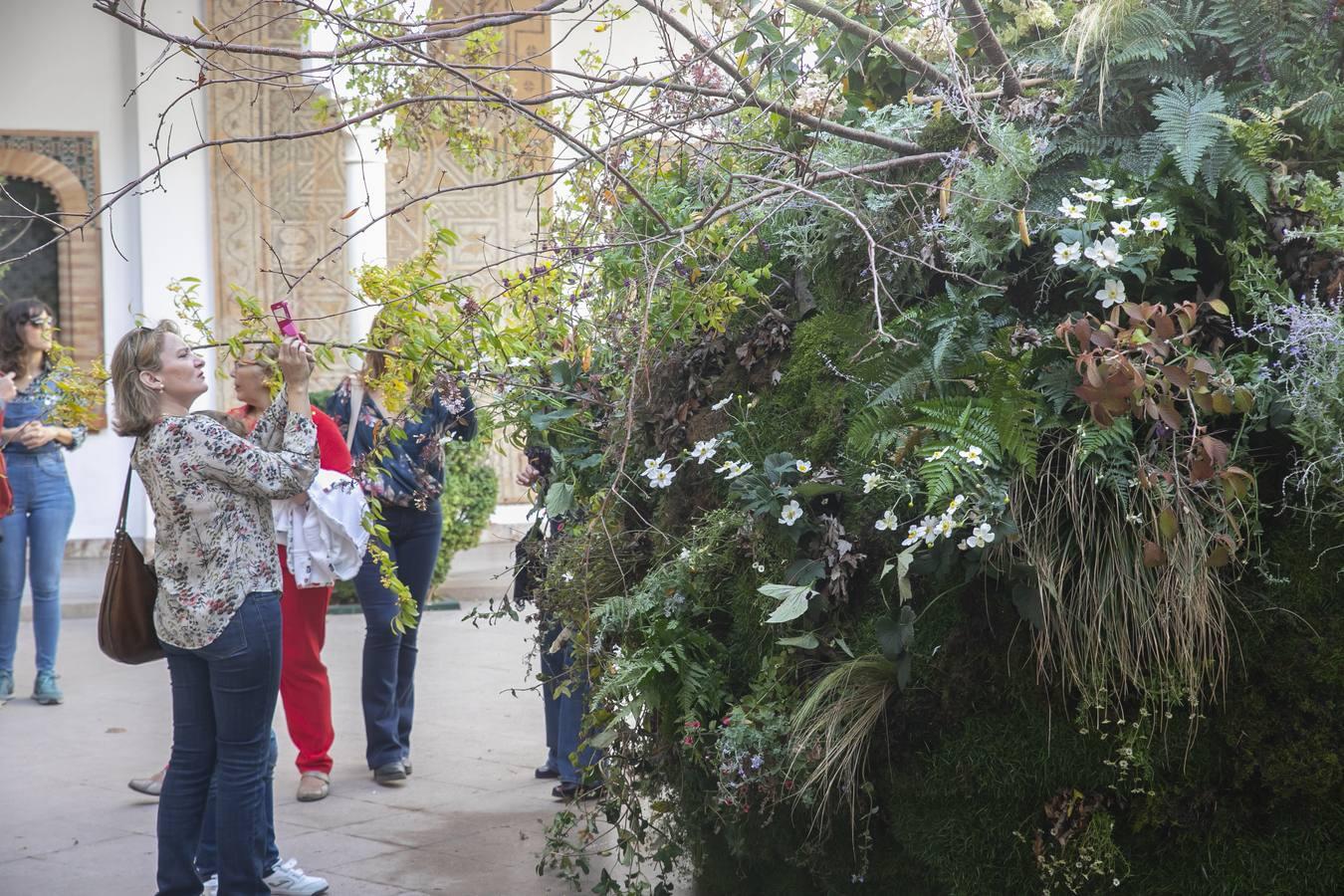 El día de San Rafael en el Festival Flora de Córdoba, en imágenes