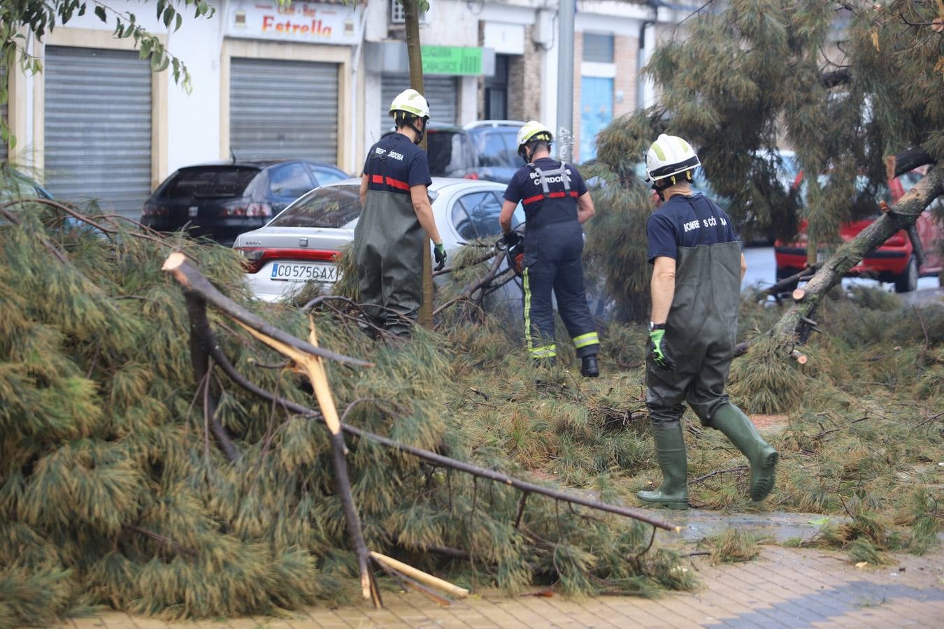 Los efectos de la tromba de agua de este sábado en Córdoba, en imágenes