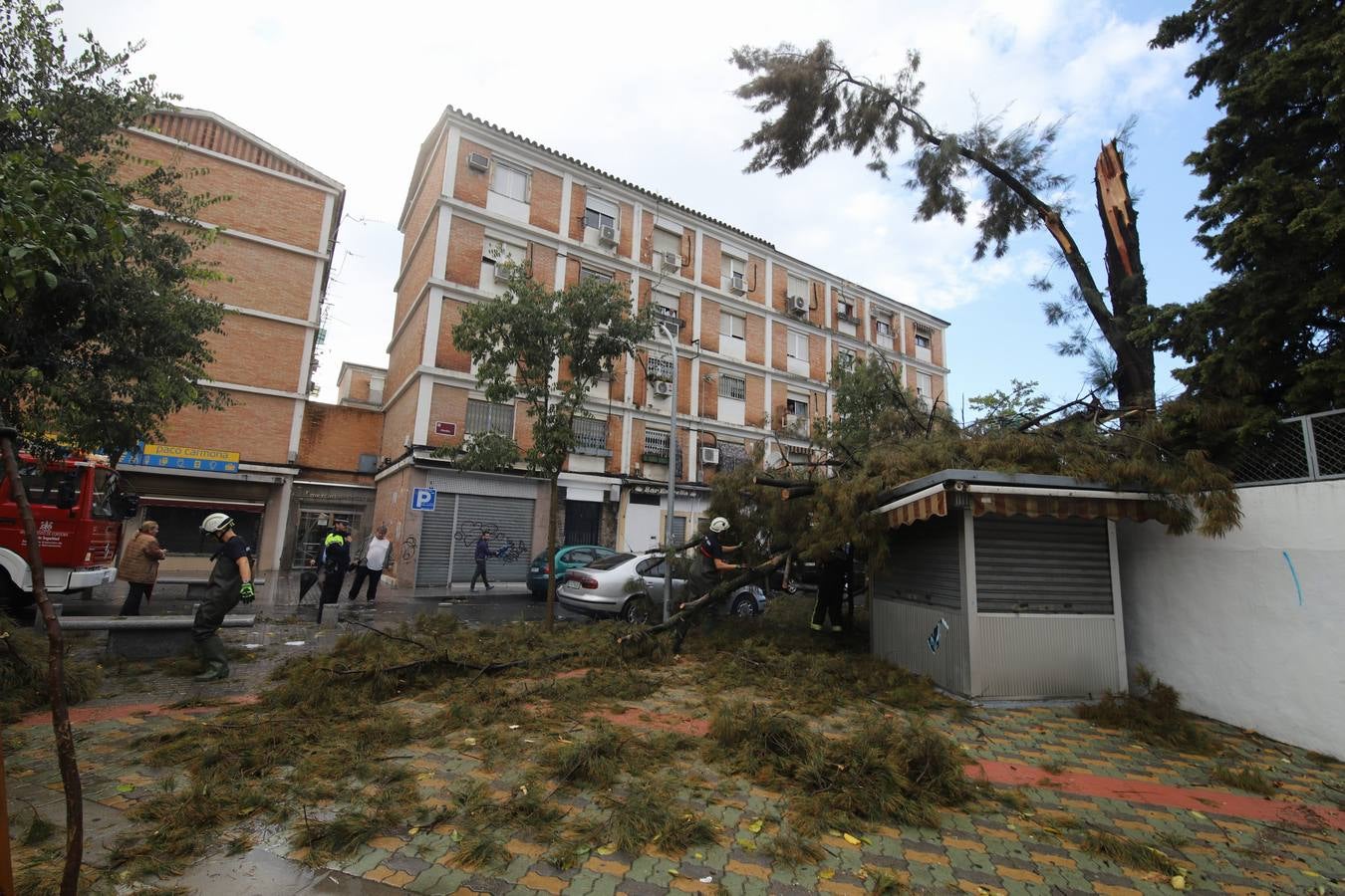 Los efectos de la tromba de agua de este sábado en Córdoba, en imágenes