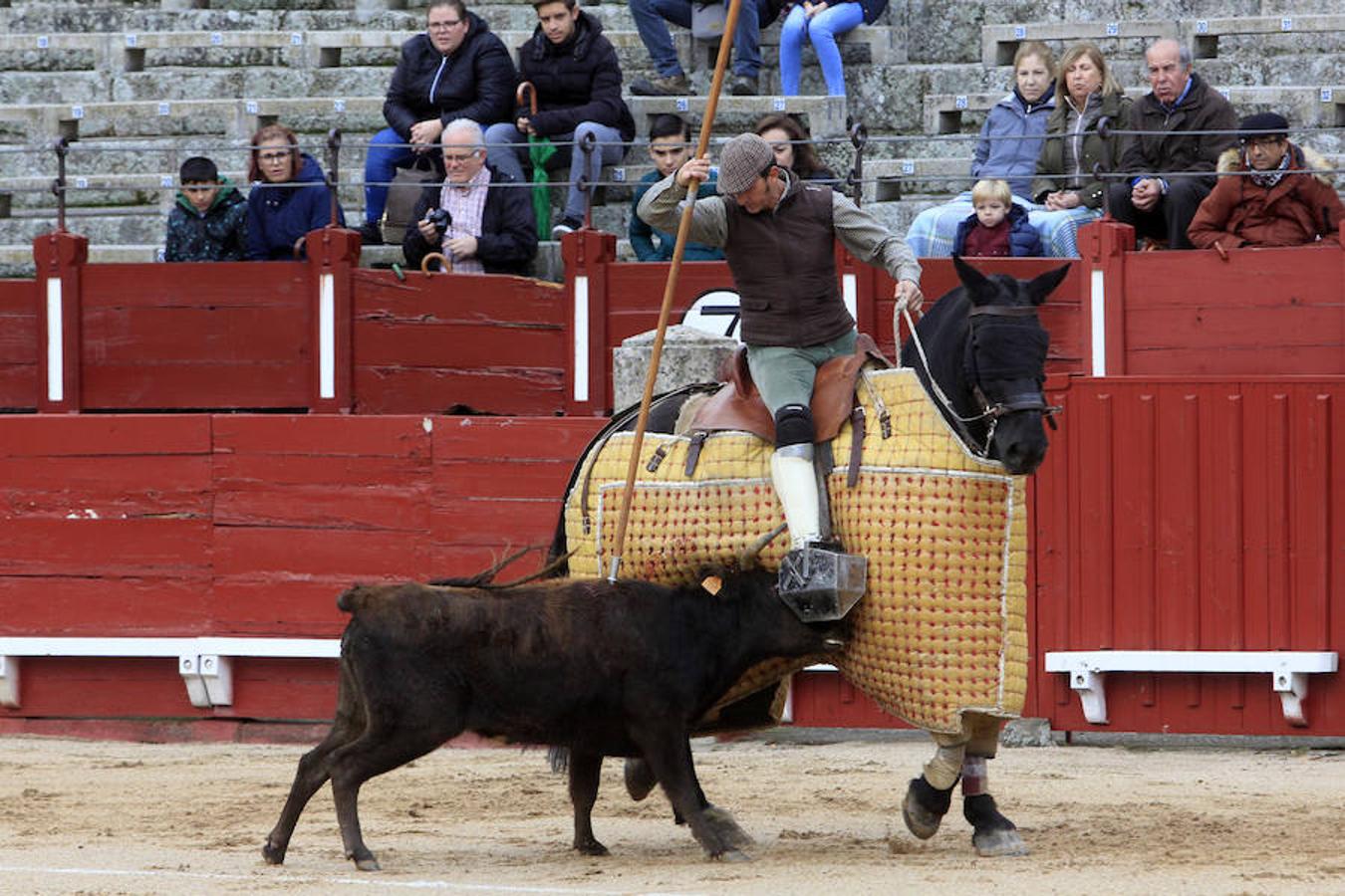 El Tentadero Benéfico en Toledo, en imágenes