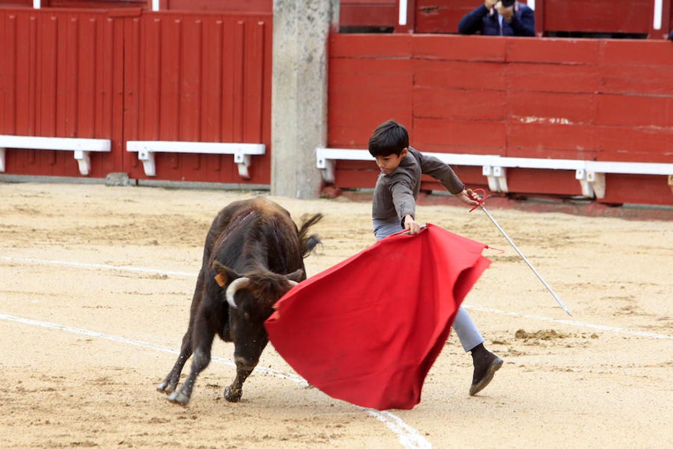 El Tentadero Benéfico en Toledo, en imágenes