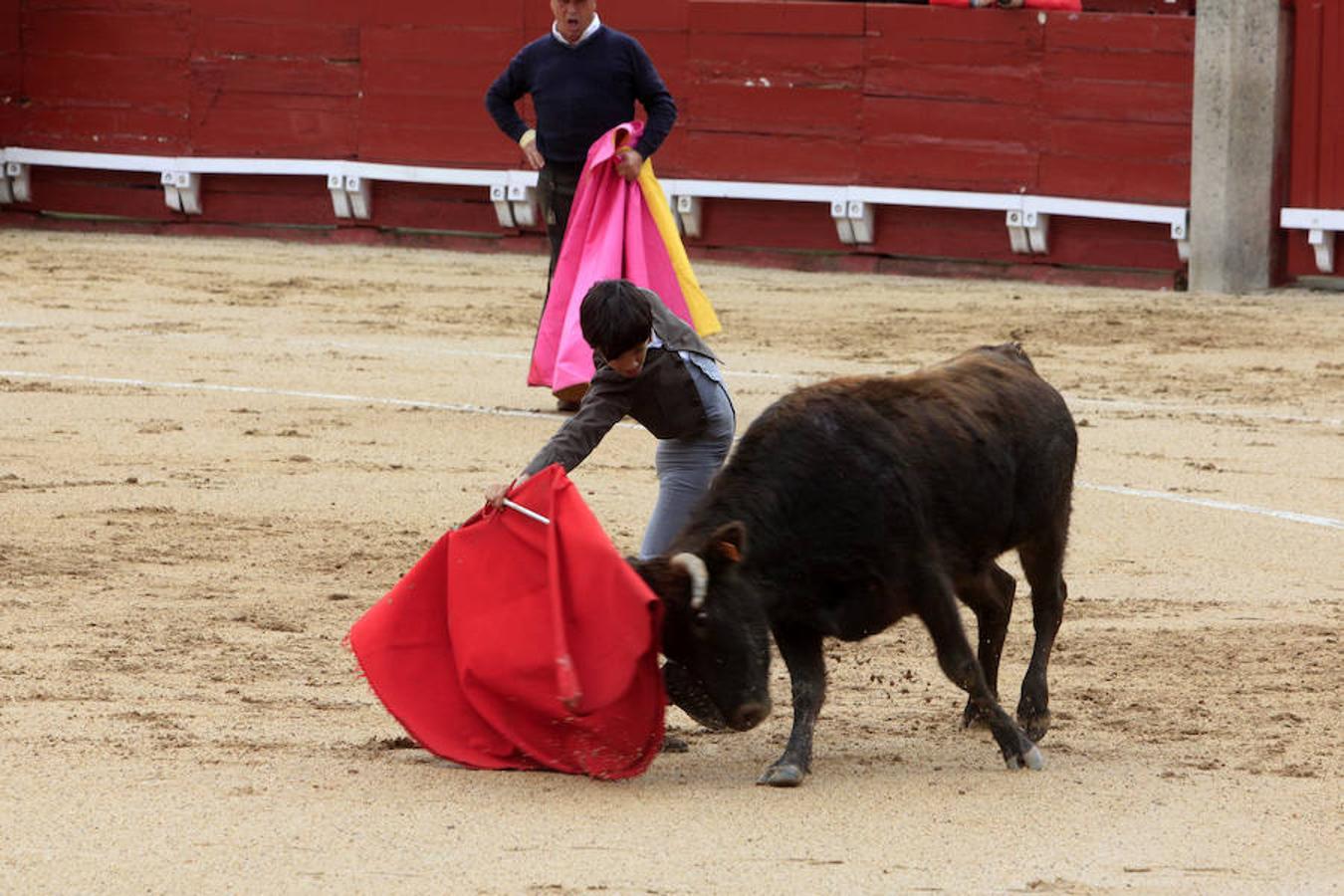 El Tentadero Benéfico en Toledo, en imágenes