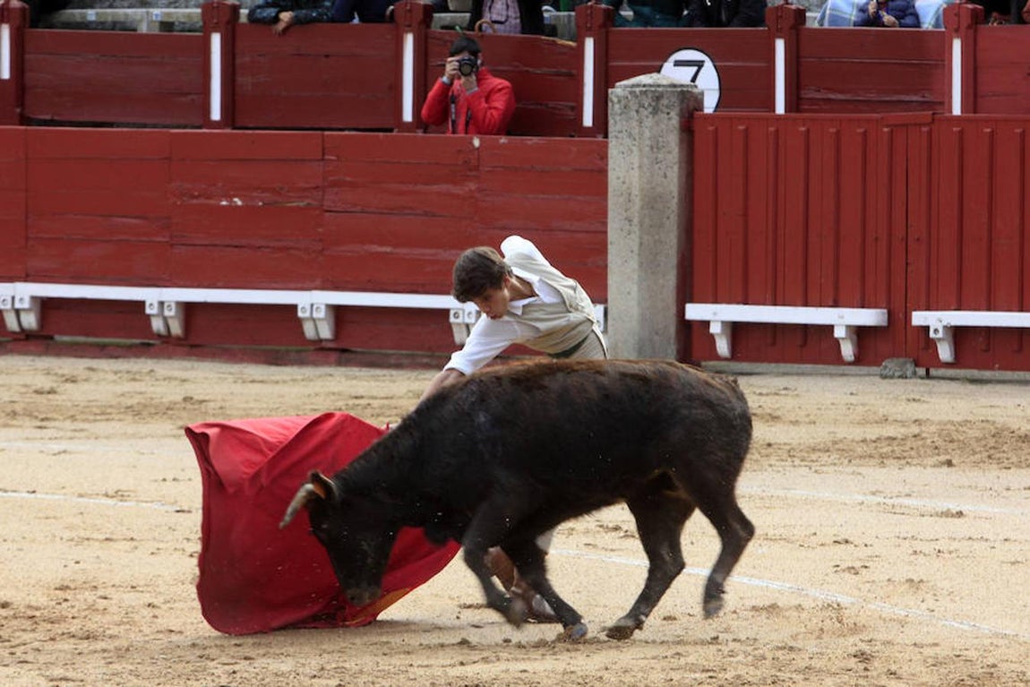 El Tentadero Benéfico en Toledo, en imágenes