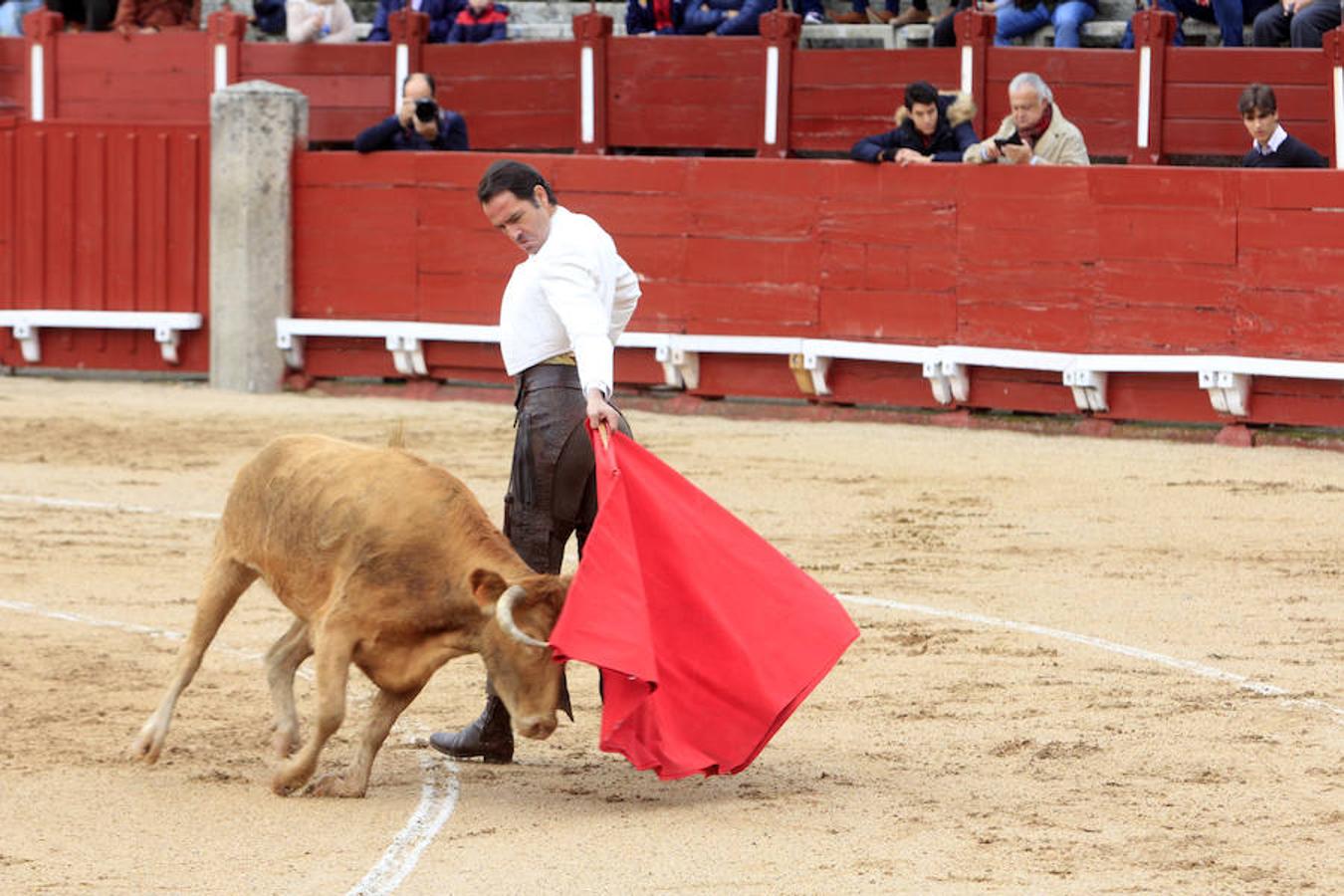 El Tentadero Benéfico en Toledo, en imágenes