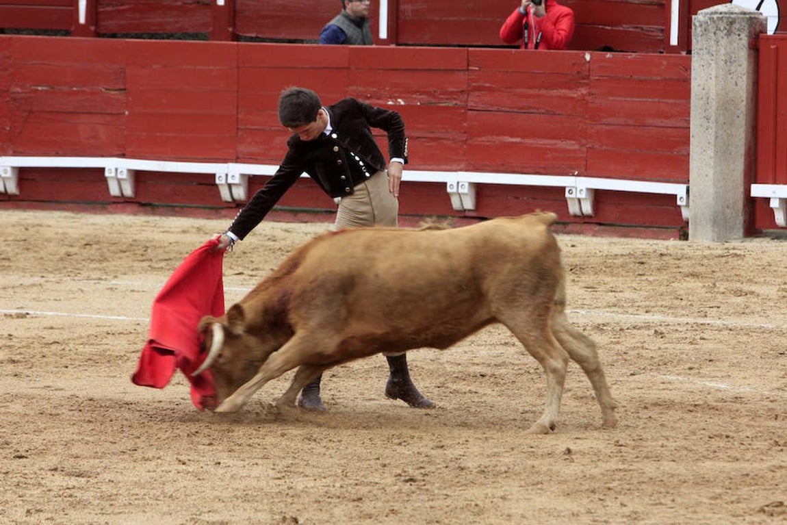 El Tentadero Benéfico en Toledo, en imágenes
