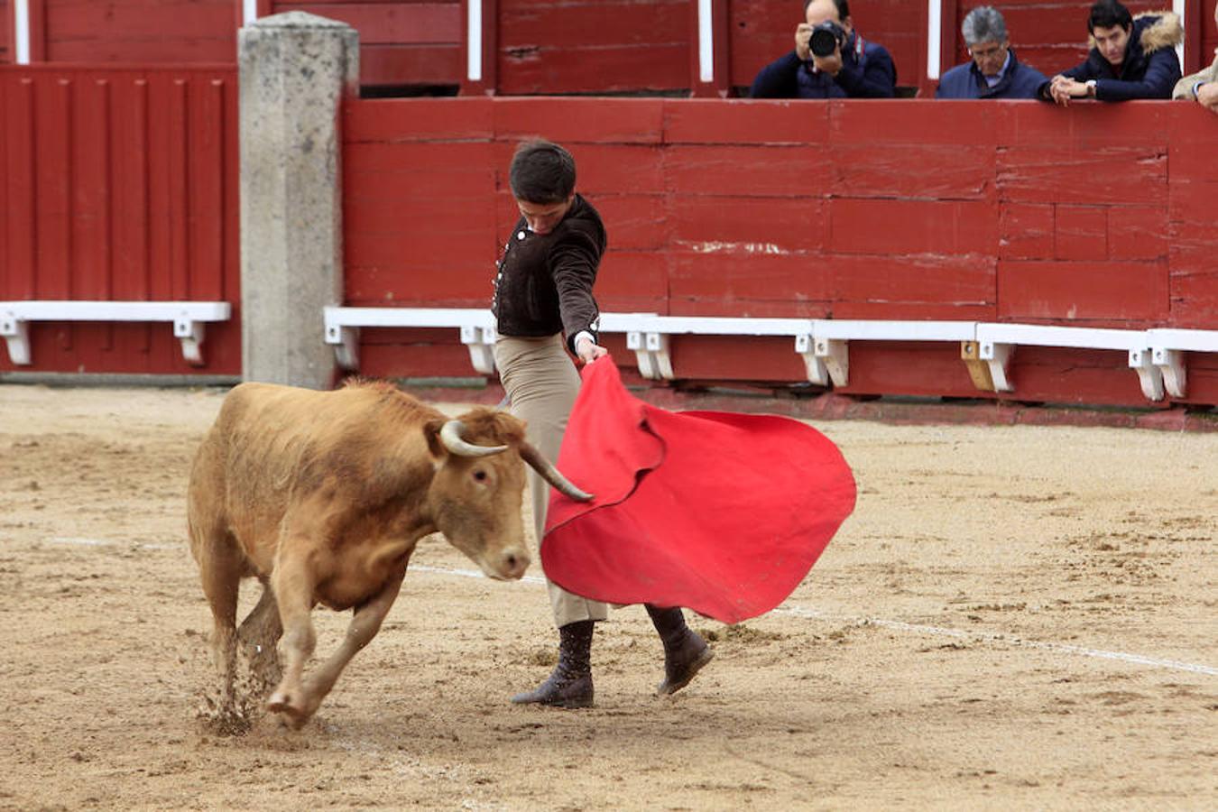 El Tentadero Benéfico en Toledo, en imágenes