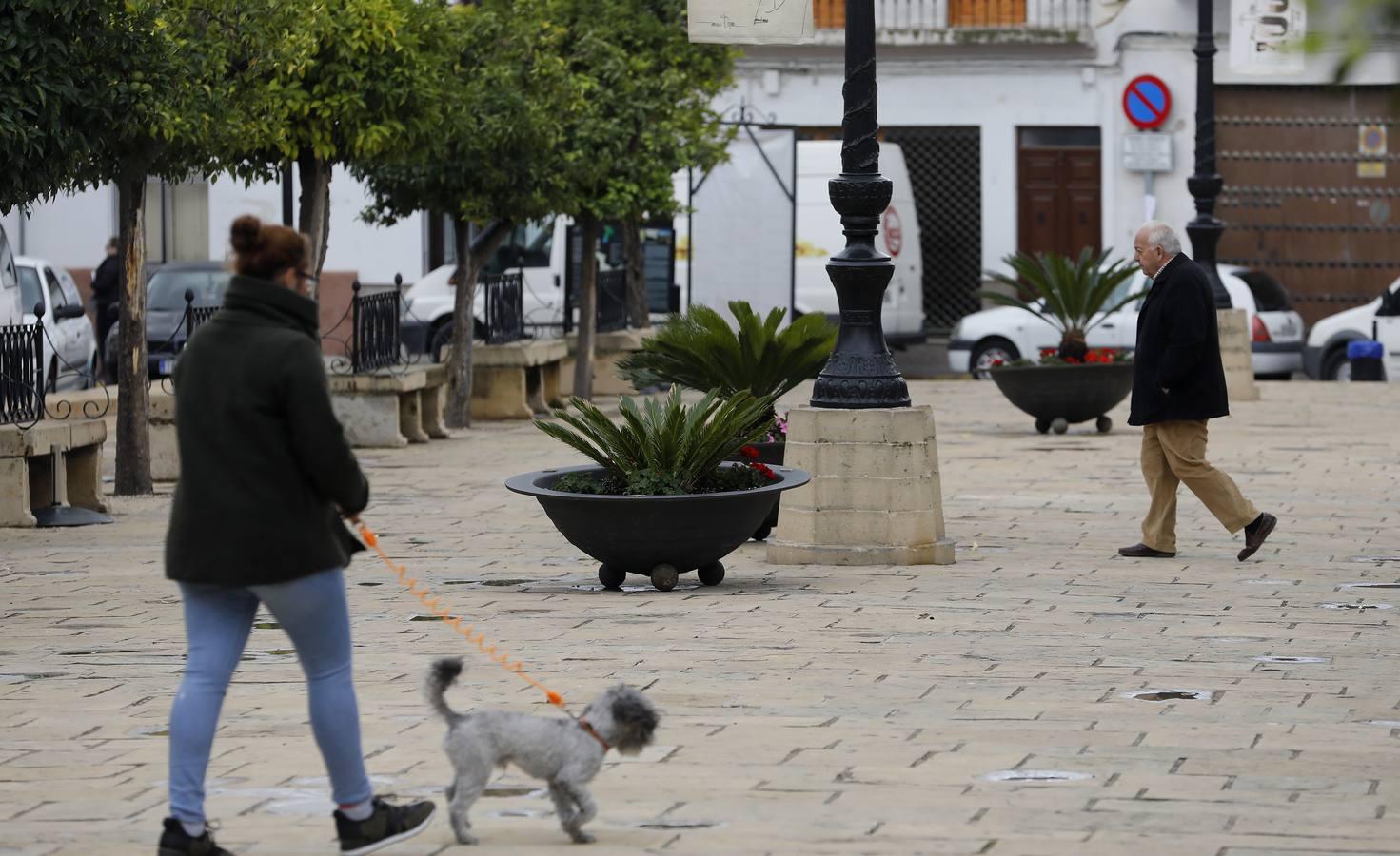 La belleza de Bujalance, en imágenes