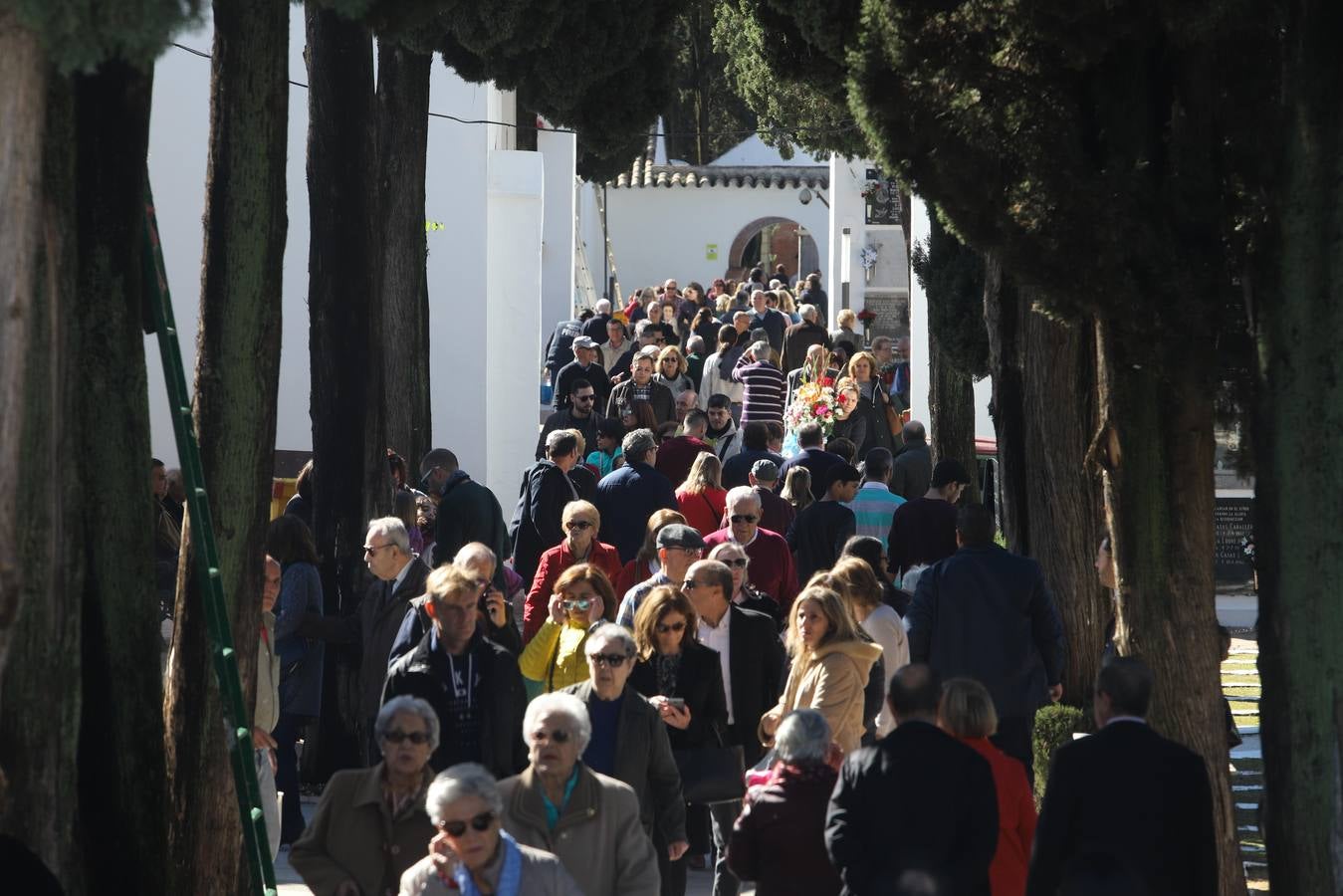 La visita a los cementerios de Córdoba, en imágenes