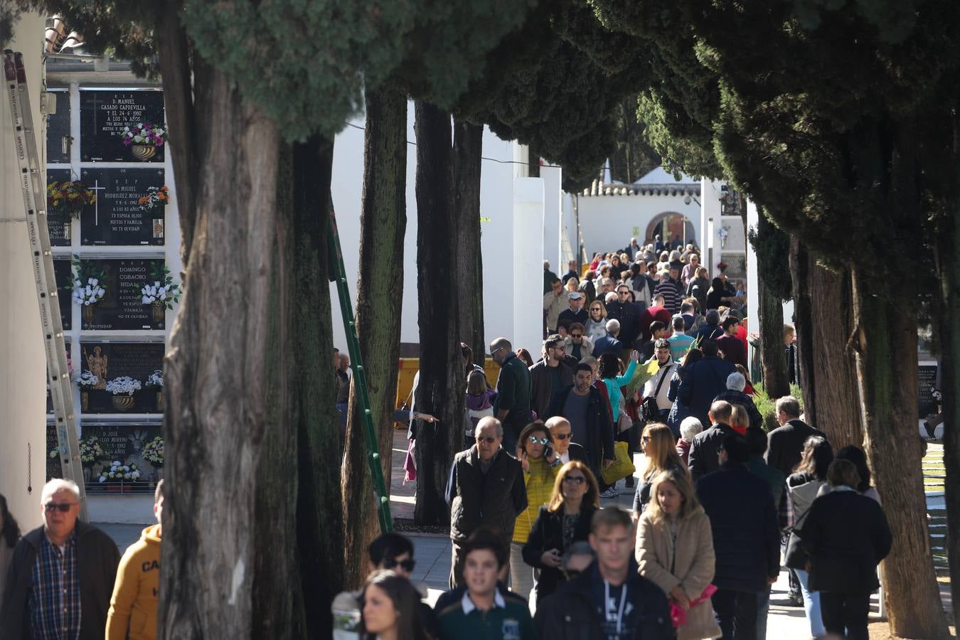 La visita a los cementerios de Córdoba, en imágenes