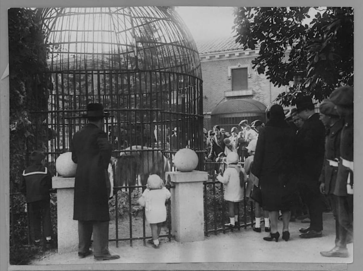 15.. 14 de octubre de1938. Los madrileños ven a los animales que habitaban en la Casa de Fieras, primer zoológico de la ciudad, situado en el corazón de El Retiro