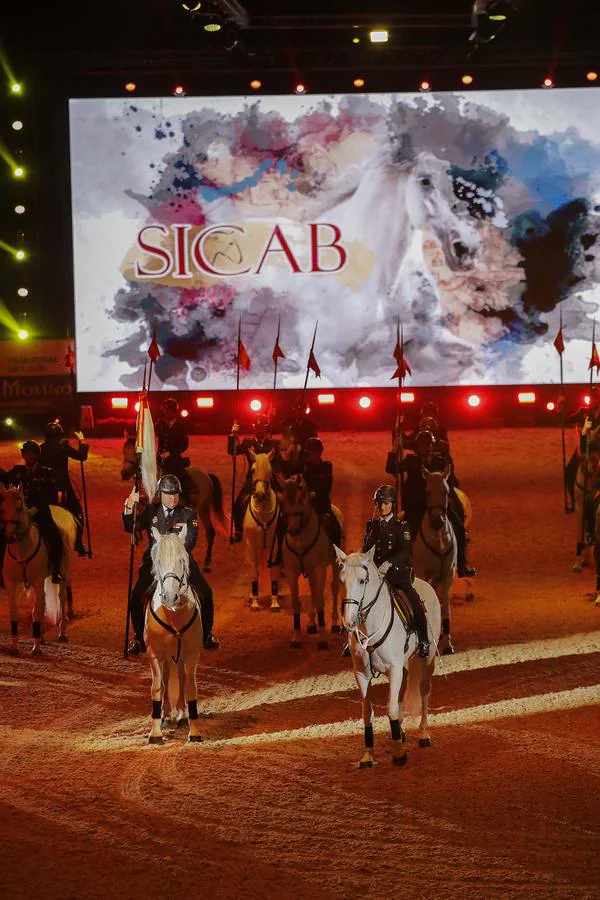 Las imágenes del espectáculo de inauguración de Sicab 2018 en Sevilla