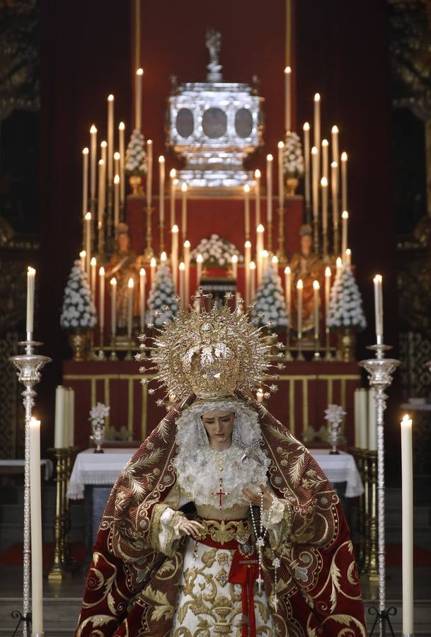 El besamanos a la Reina de los Santos Mártires, en imágenes