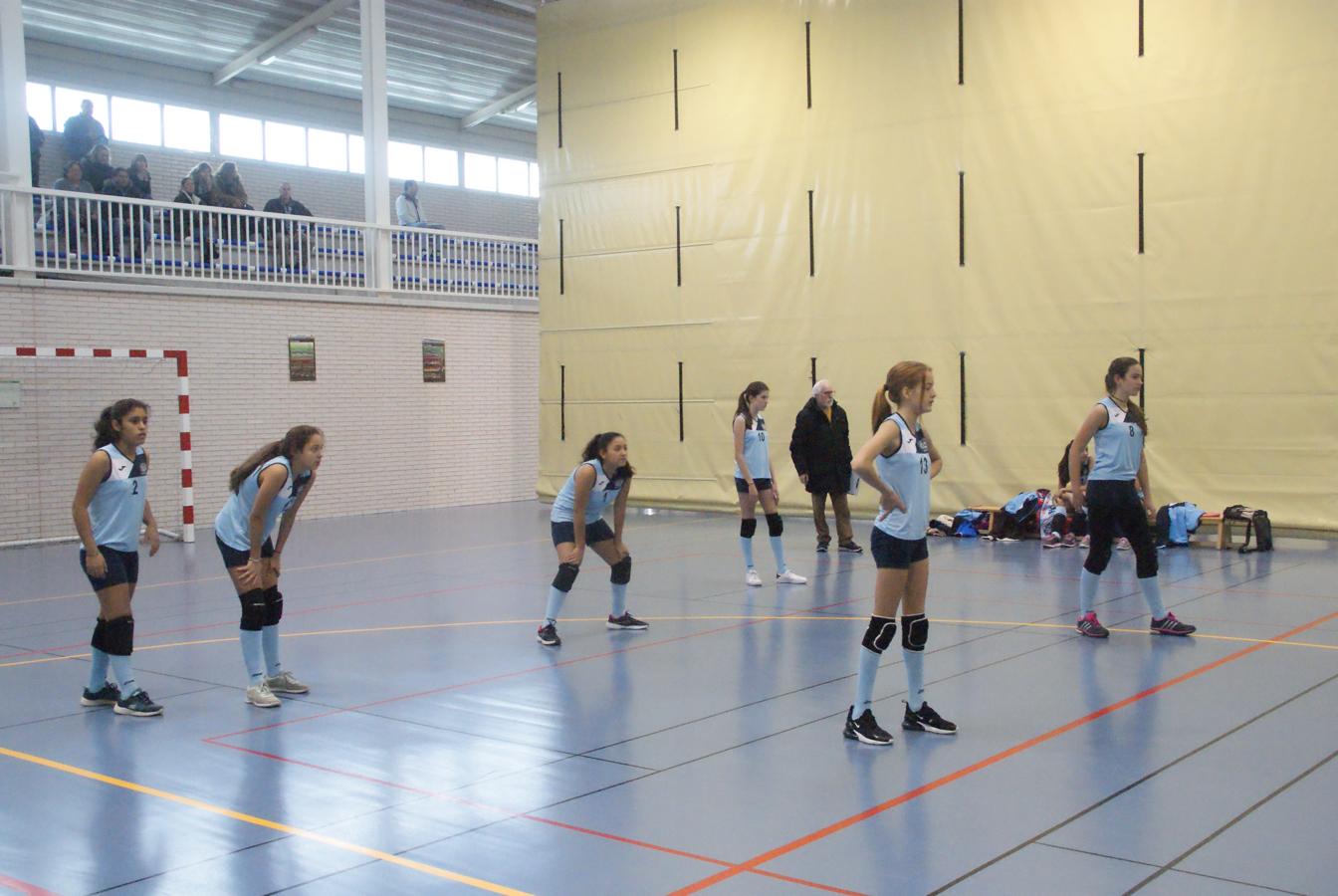 Las mejores imágenes del partido de voleibol entre Saint Louis des Français “A” y Santo Domingo Savio