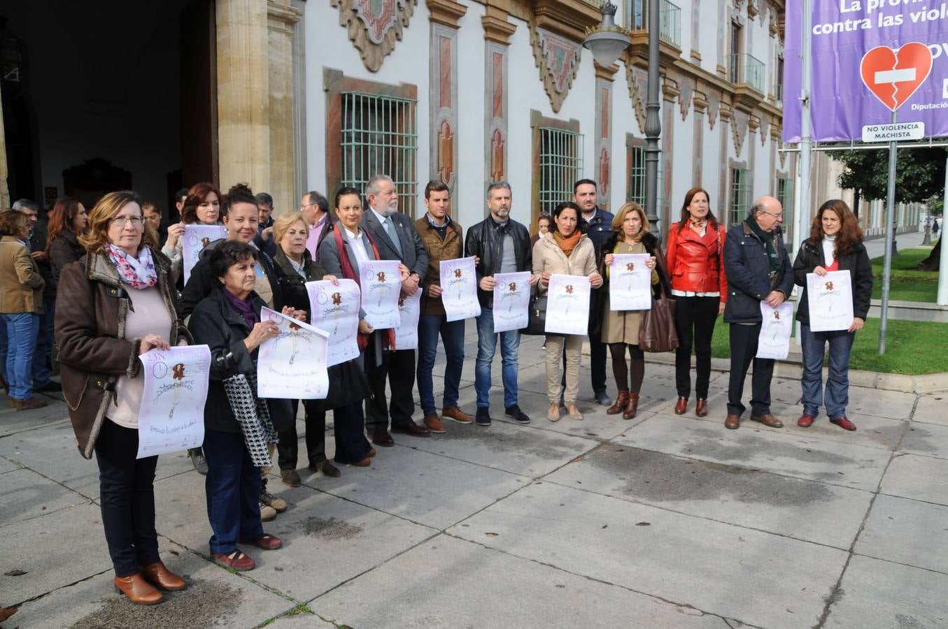 En imágenes, las instituciones de Córdoba protestan contra la violencia machista