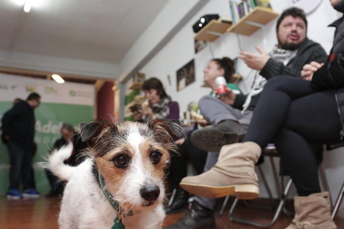 La jornada electoral de Adelante Andalucía, en imágenes