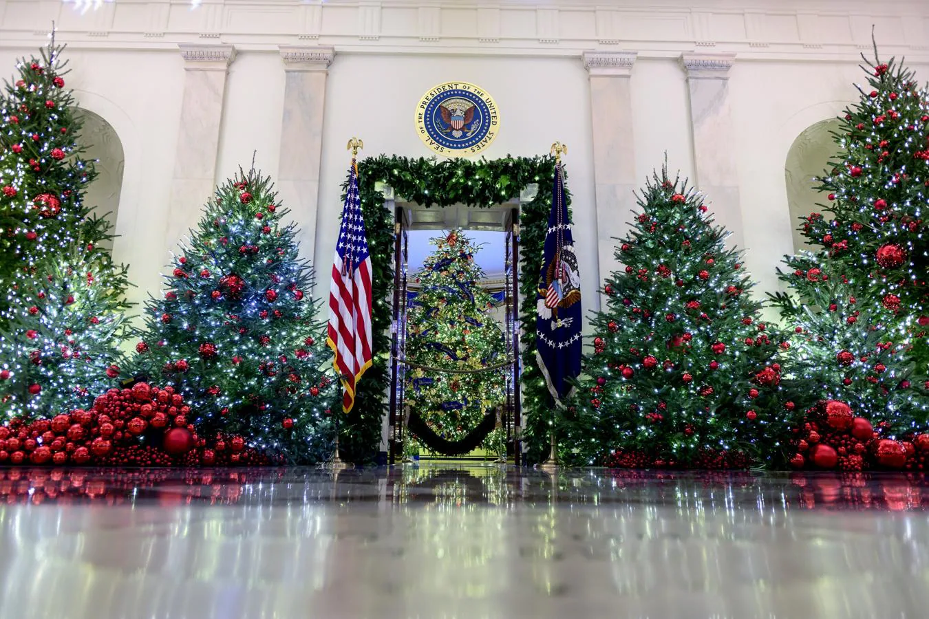 Árbol principal en la Sala Azul. El árbol de Navidad de la Casa Blanca, que sirve como pieza central para las decoraciones navideñas, debe medir unos tres metros de altura y alcanza el techo de la Sala Azul, uno de los principales salones del hogar de Donald Trump y Melania Trump.