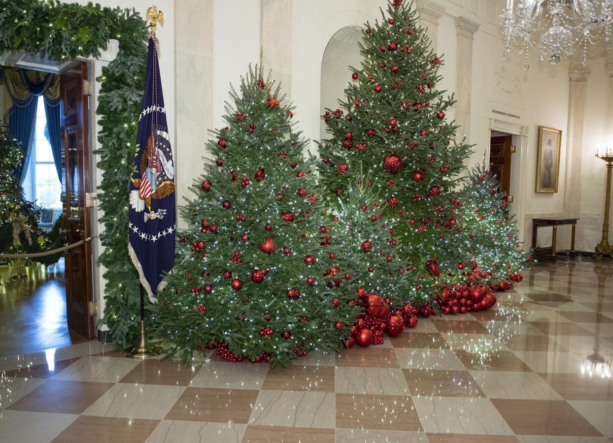 Larry Smith se ha encargado de proporcionar el árbol navideño. El Sr. Smith ha estado vendiendo árboles de Navidad desde 1980, y ha competido en el Concurso Nacional de Árboles de Navidad cuatro veces anteriormente. Después de proporcionar un árbol para la residencia del Vicepresidente en 2001, ¡ha entregado un árbol a la Casa Blanca por primera vez!