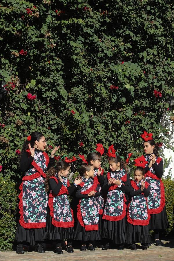 La zambomba flamenca empieza a sonar en Córdoba, en imágenes