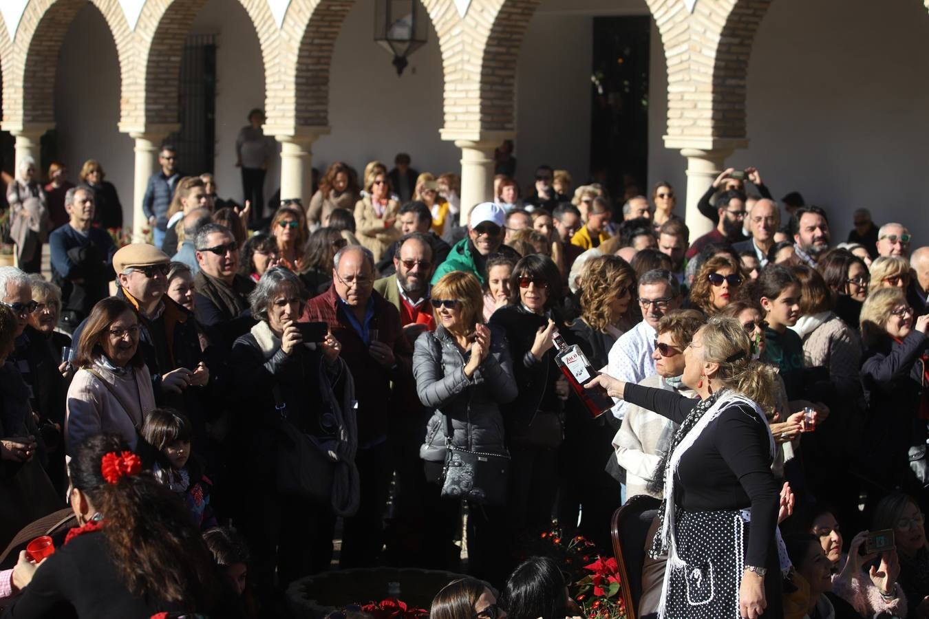 La zambomba flamenca empieza a sonar en Córdoba, en imágenes