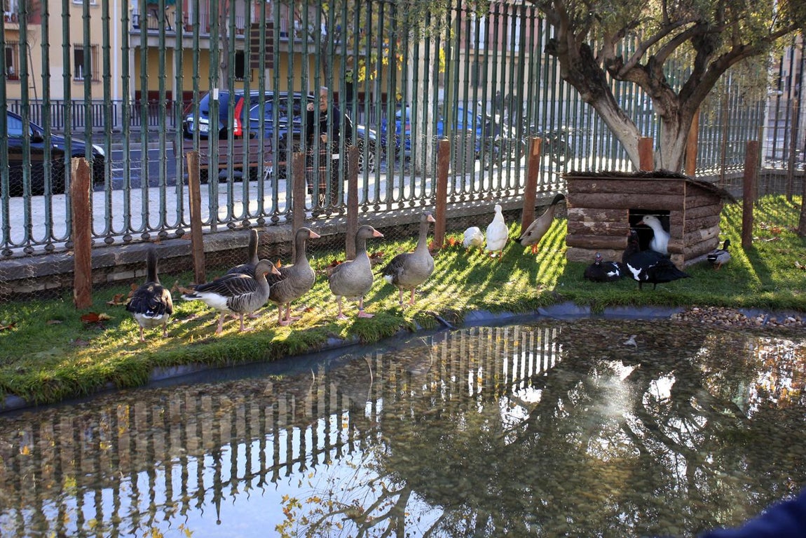 Toledo se inunda de belenes