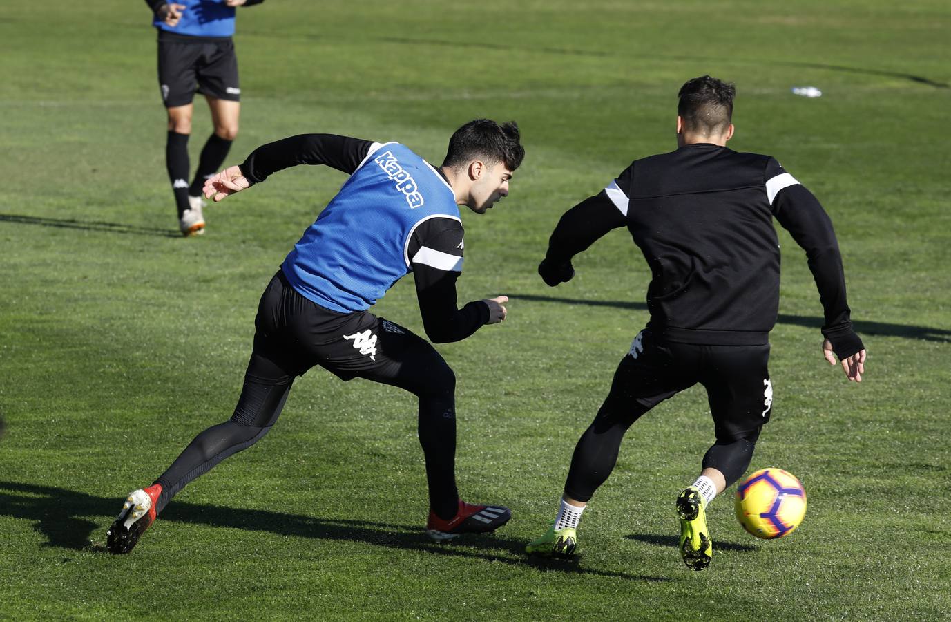 La vuelta al trabajo del Córdoba CF, en imágenes