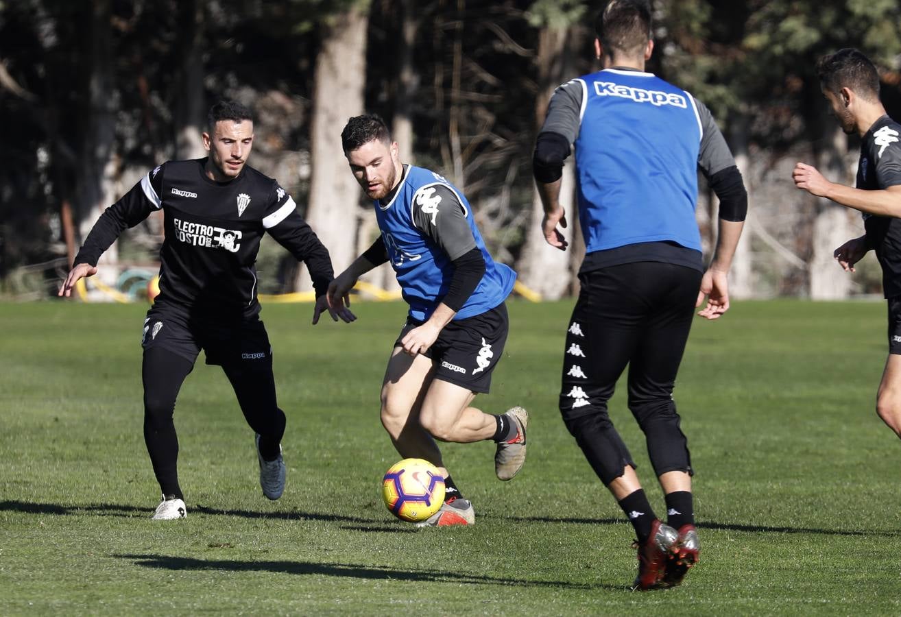 La vuelta al trabajo del Córdoba CF, en imágenes