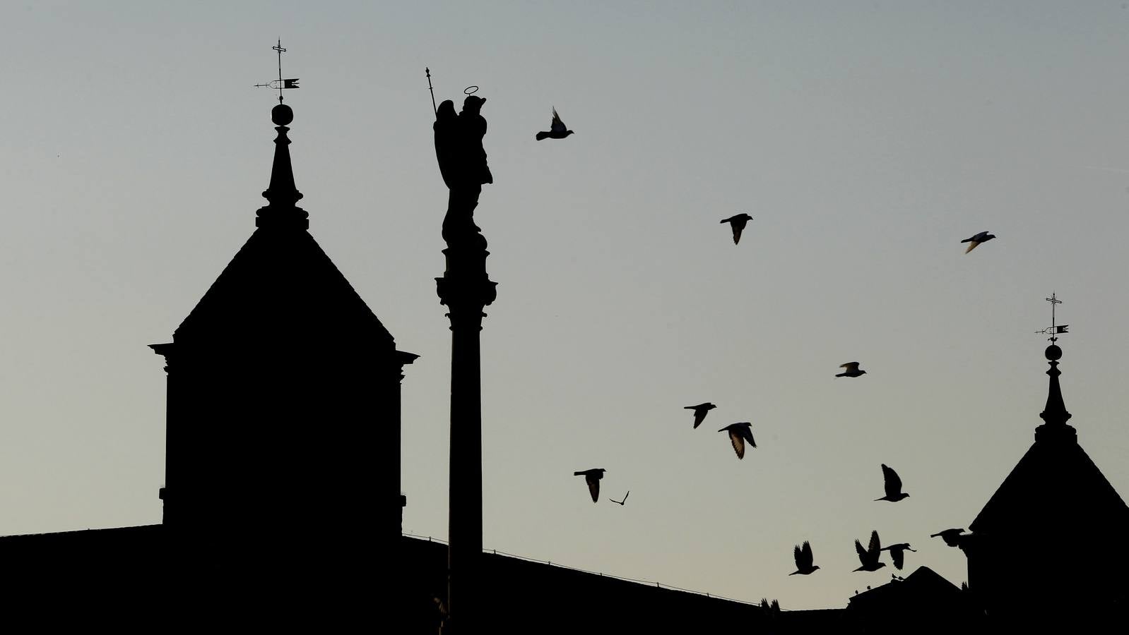 El año 2018 en Córdoba, en la cámara de Valerio Merino