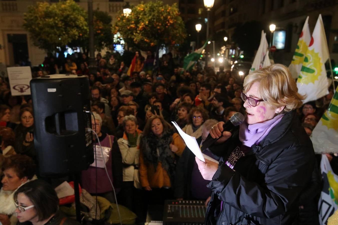 La protesta feminista en Córdoba, en imágenes