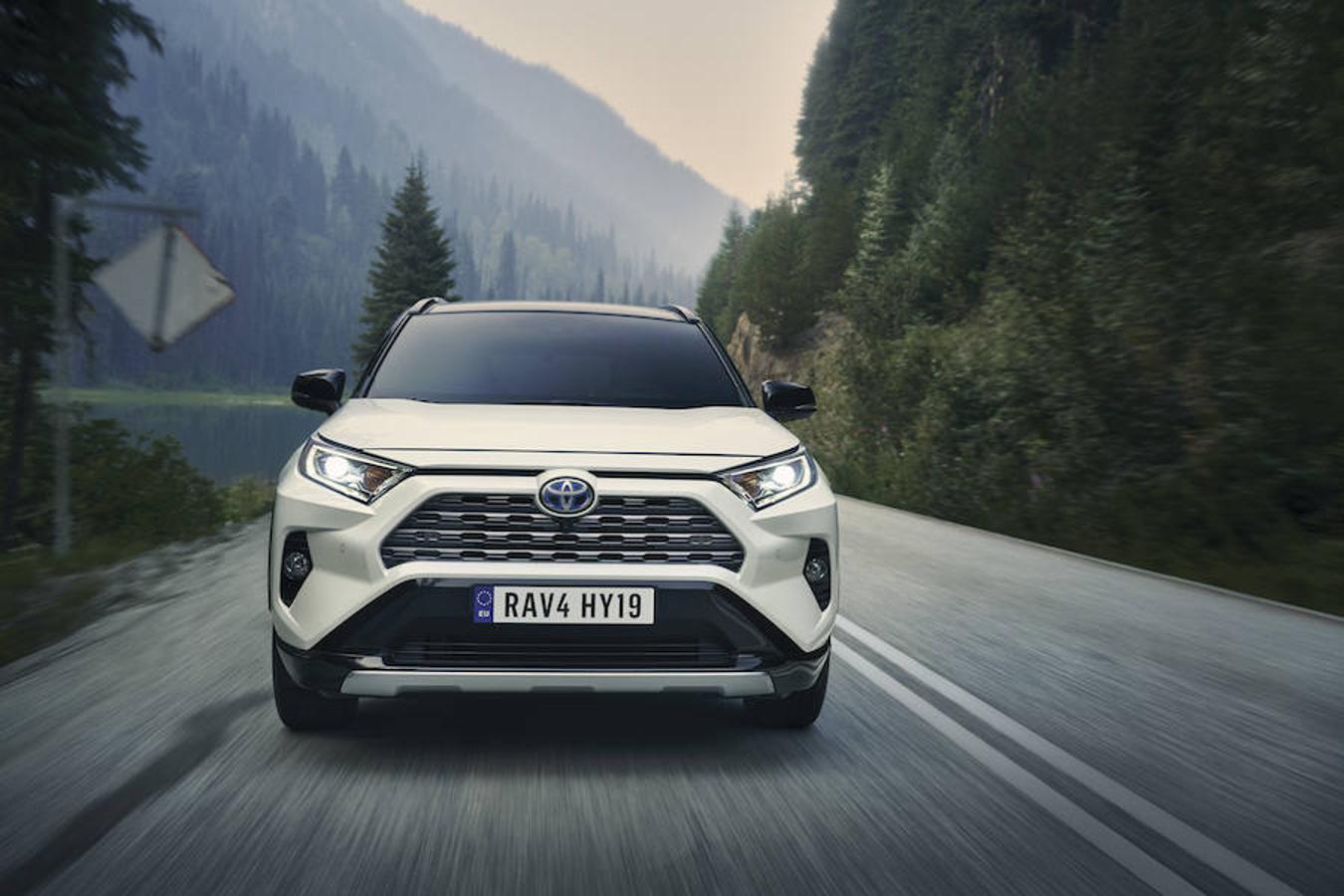 Fotogalería: Toyota RAV4 2019