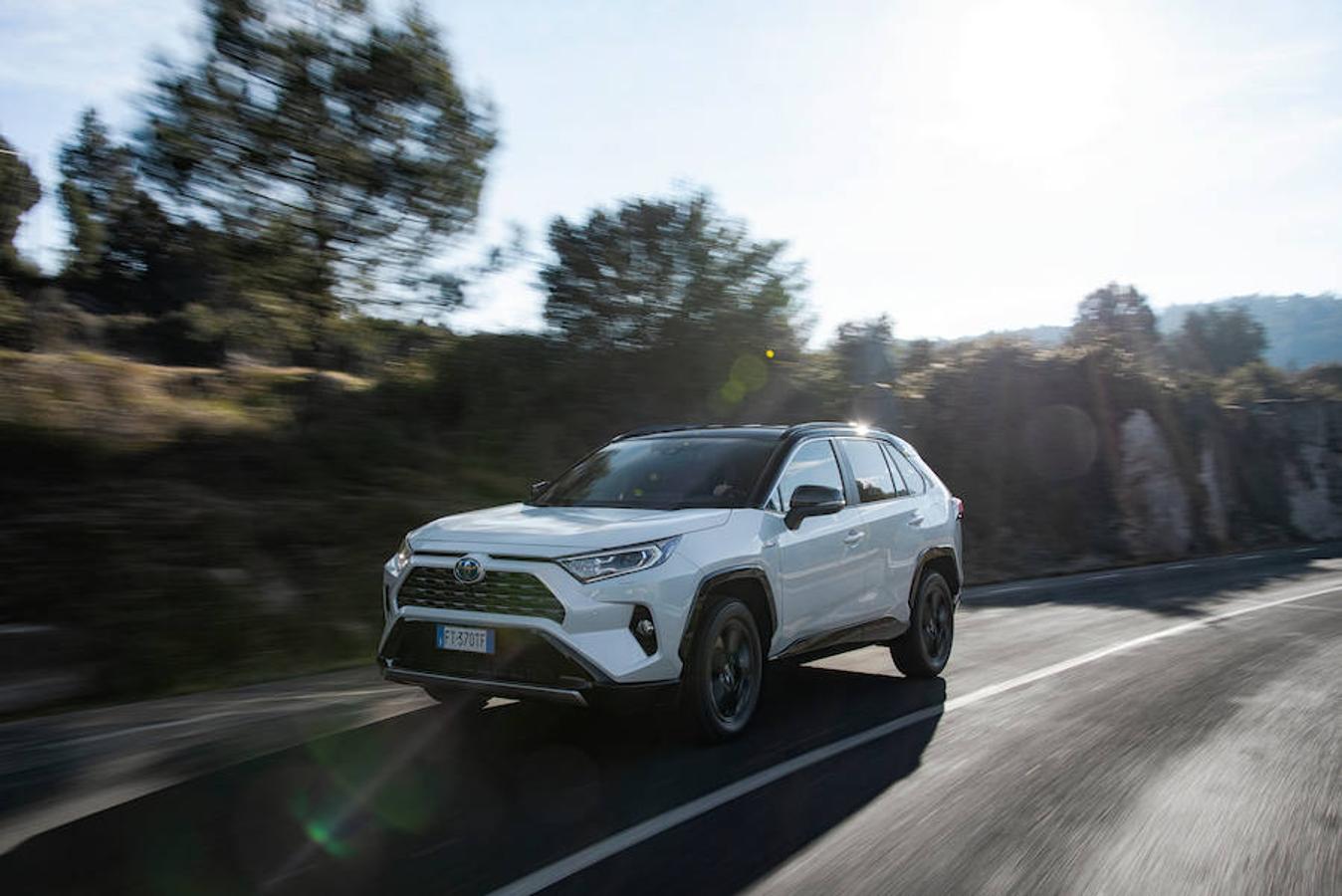 Fotogalería: Toyota RAV4 2019