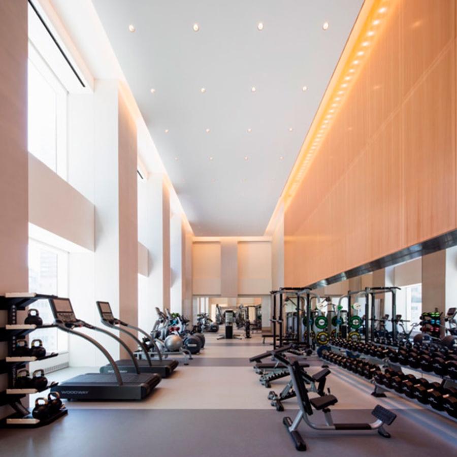 Gimnasio. Un ascensor privado con relucientes paredes lacadas en negro se abre a una larga galería de entrada, donde se pueden diferenciar algunas de las puertas que conducen al resto de estancias de la habitación.