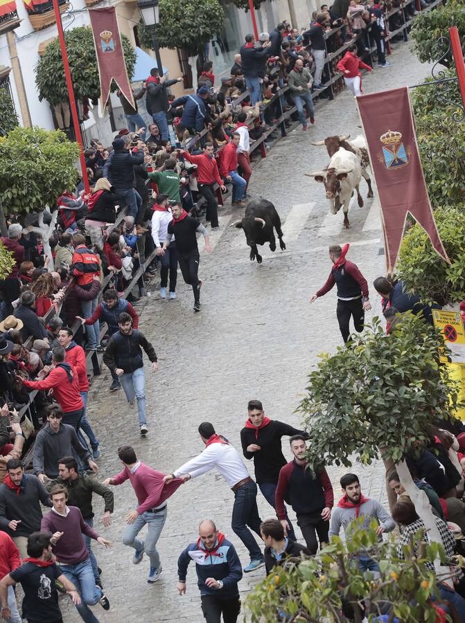 Rotundo éxito del encierro en honor a San Sebastián en la Puebla del Río