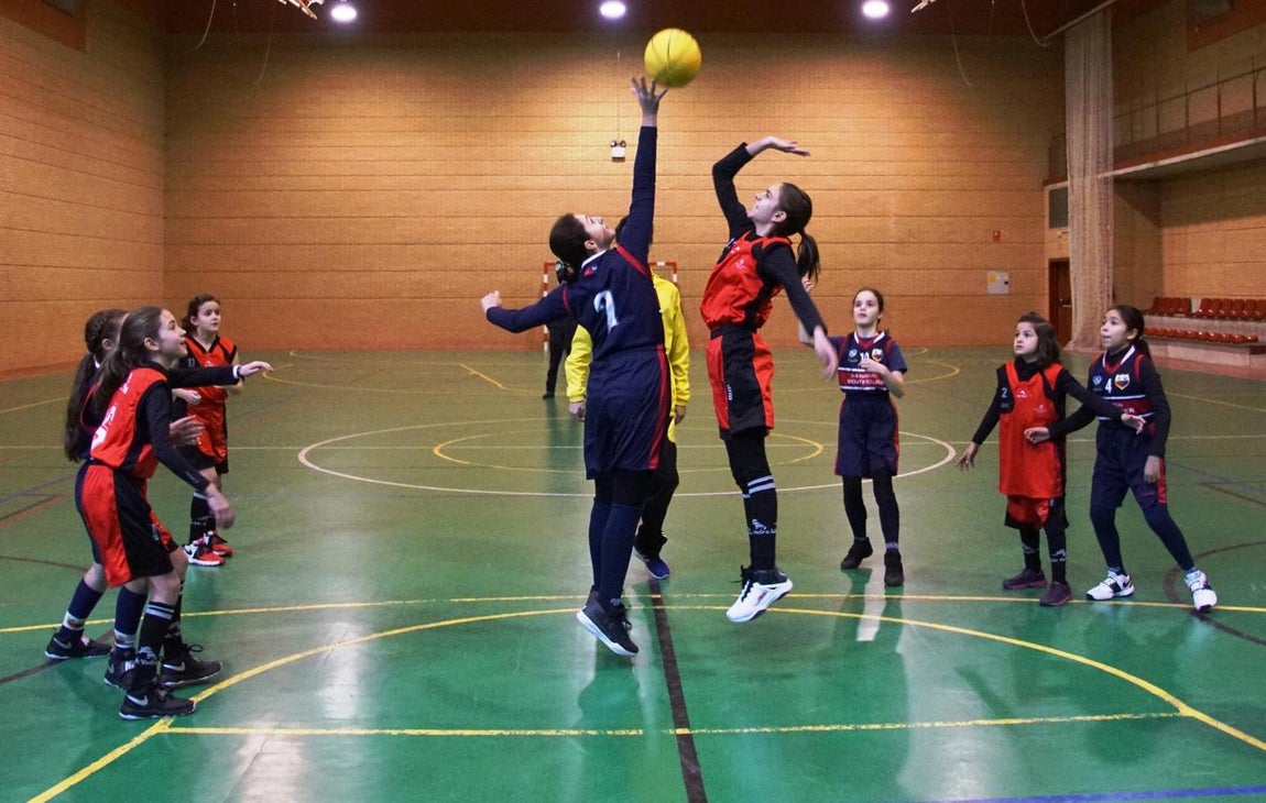 Las mejores imágenes del partido de baloncesto entre Amor de Dios y Montpellier