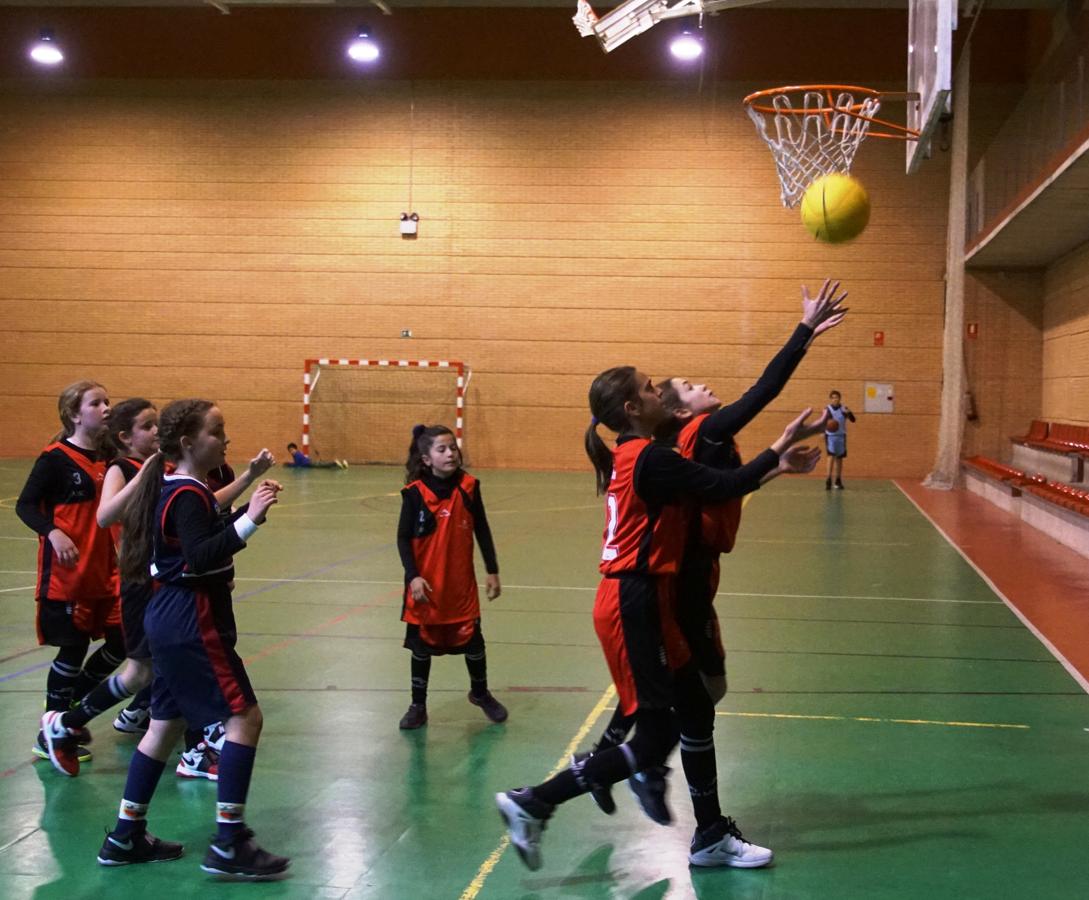 Las mejores imágenes del partido de baloncesto entre Amor de Dios y Montpellier