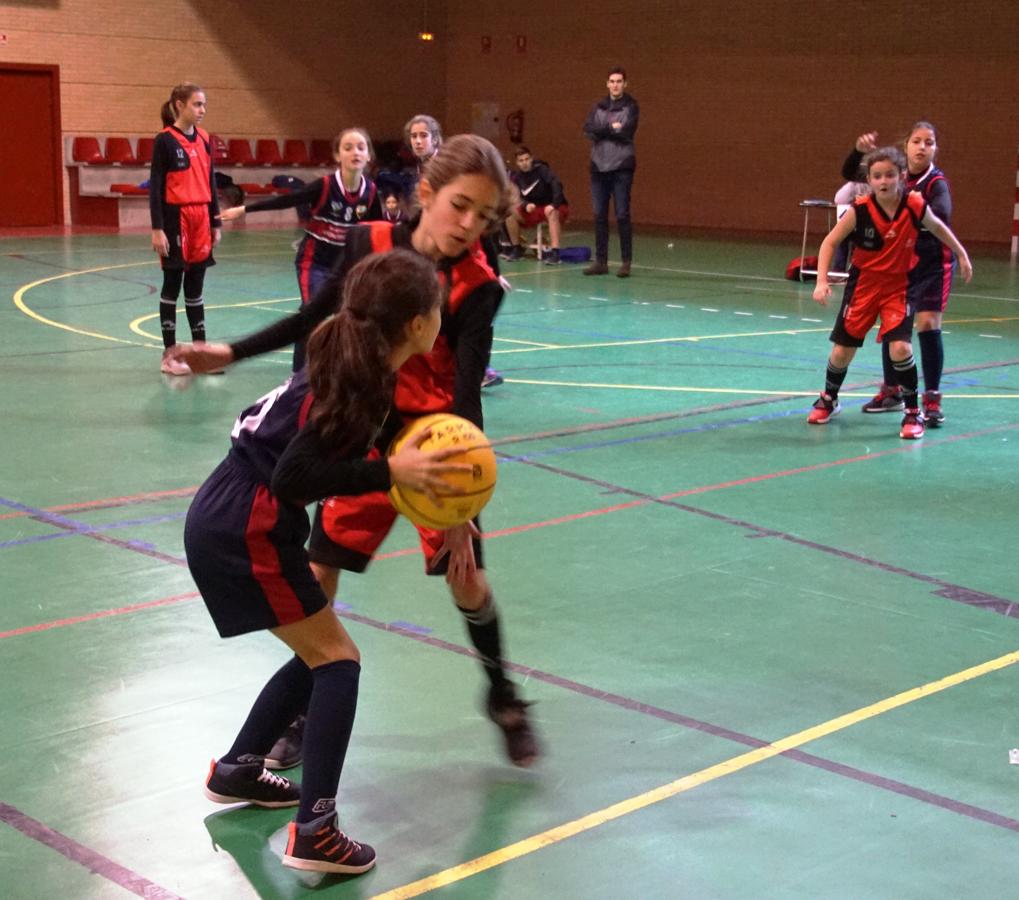 Las mejores imágenes del partido de baloncesto entre Amor de Dios y Montpellier
