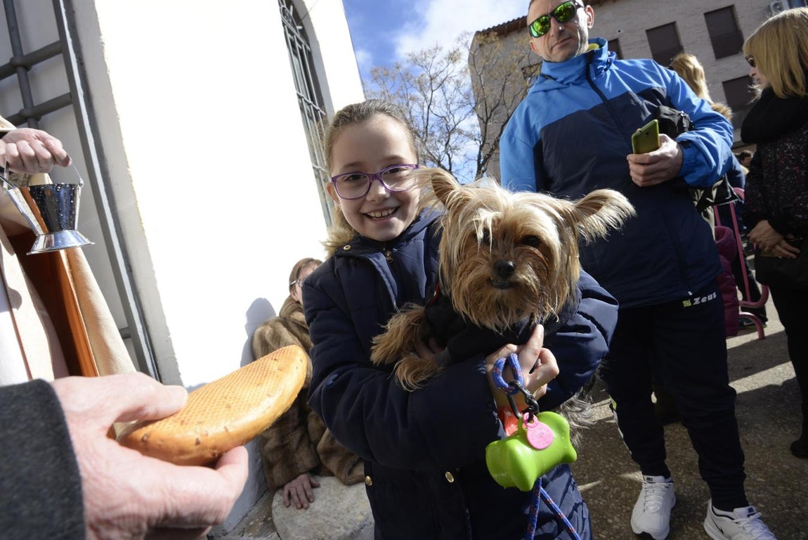 Bendición de animales en la iglesia de san Antón