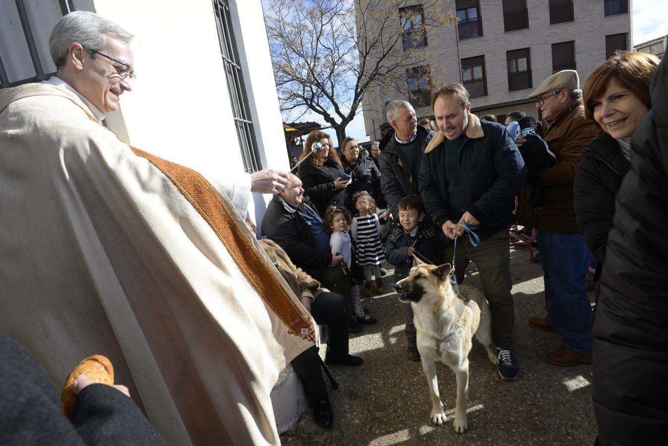 Bendición de animales en la iglesia de san Antón