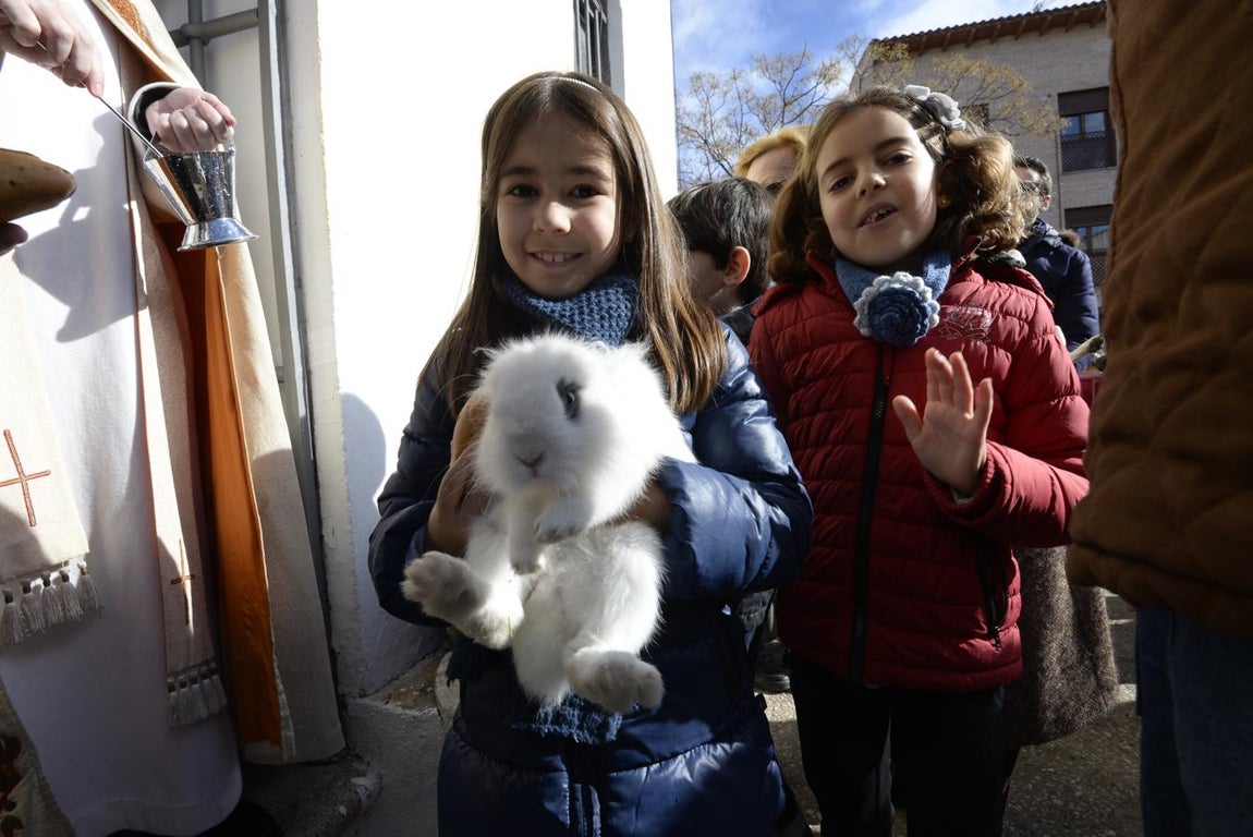 Bendición de animales en la iglesia de san Antón
