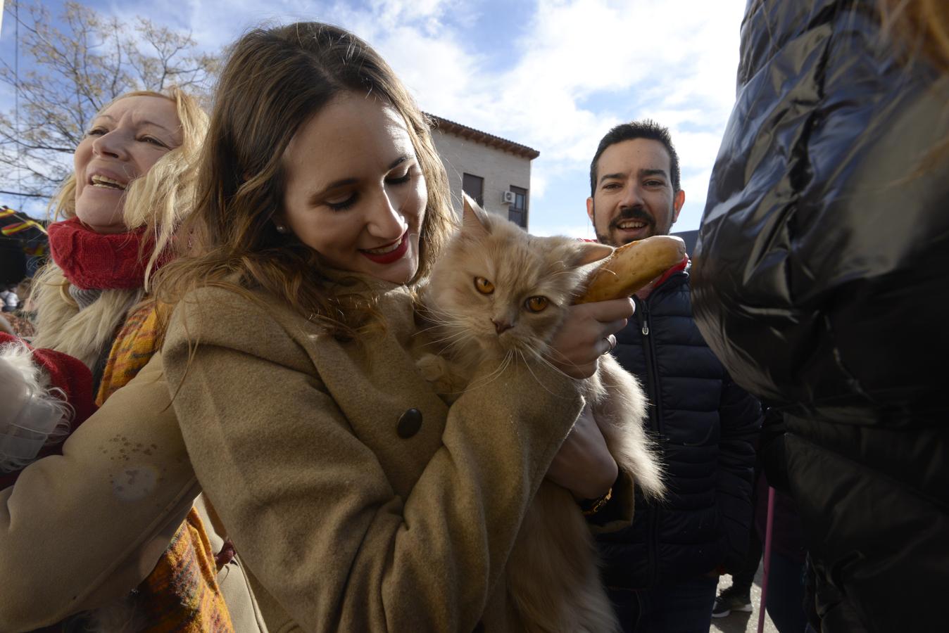 Bendición de animales en la iglesia de san Antón