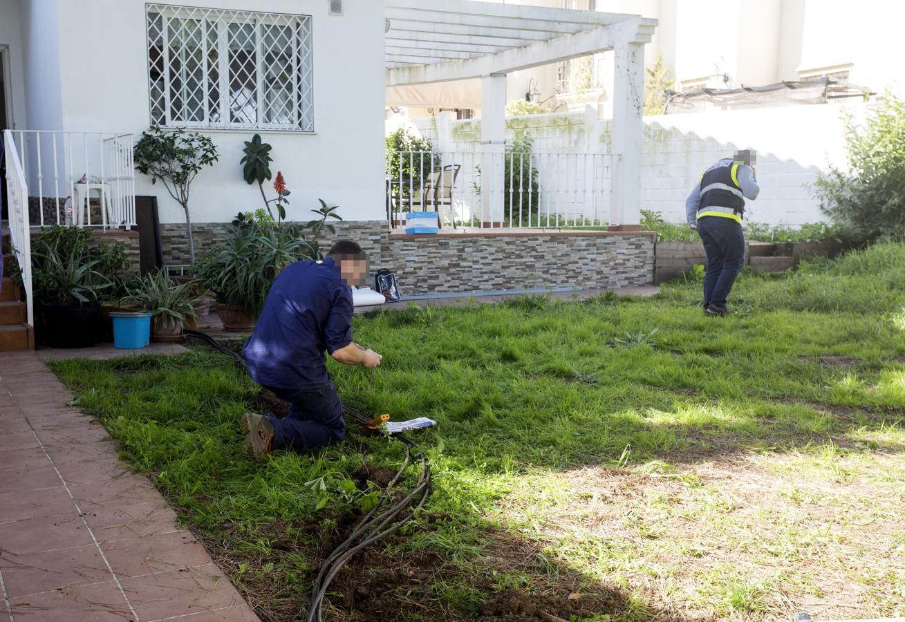 La Policía Nacional desmantela un cultivo de marihuana en Puerto Real