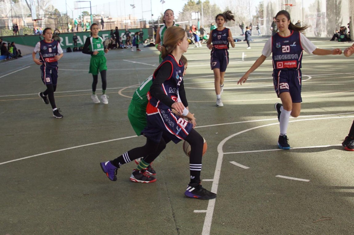 Las mejores imágenes del encuentro BVM Irlandesas - Menesiano. 