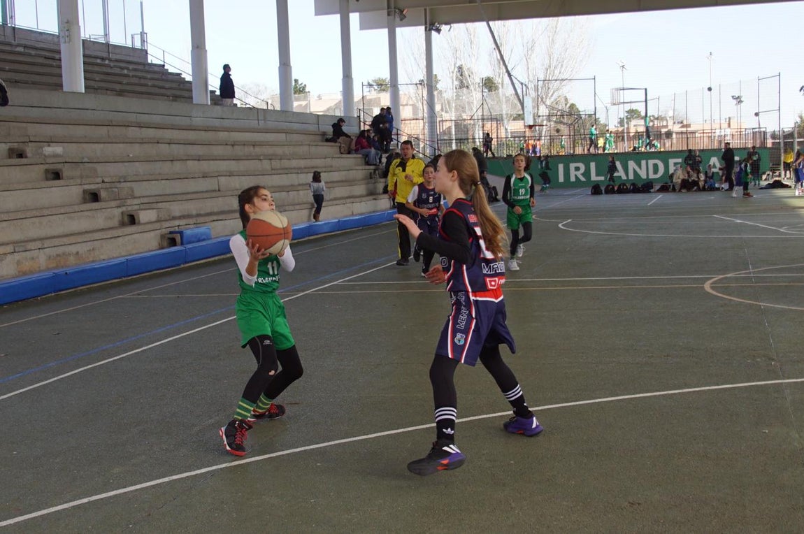 Las mejores imágenes del encuentro BVM Irlandesas - Menesiano. 