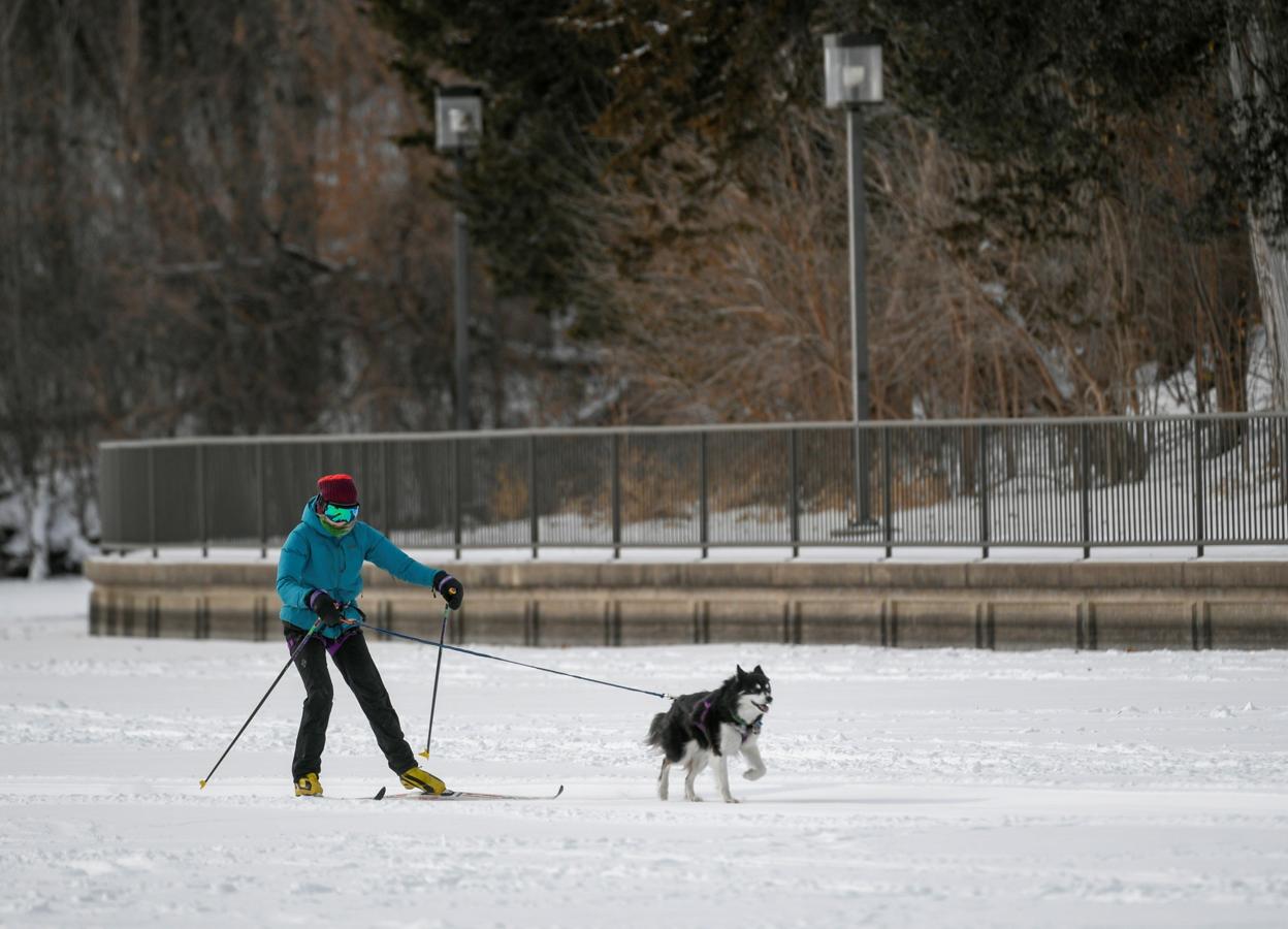 Una mujer sale a pasear con su perro a modo de trineo mientras las bajas temperaturas del viento alcanzan los -34º en Mineápolis, Minesota.. 