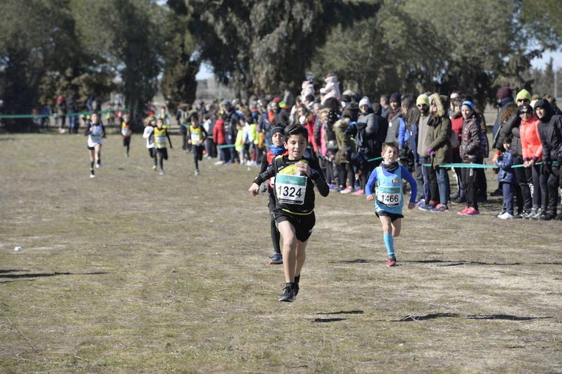 El cross de Sonseca, en imágenes