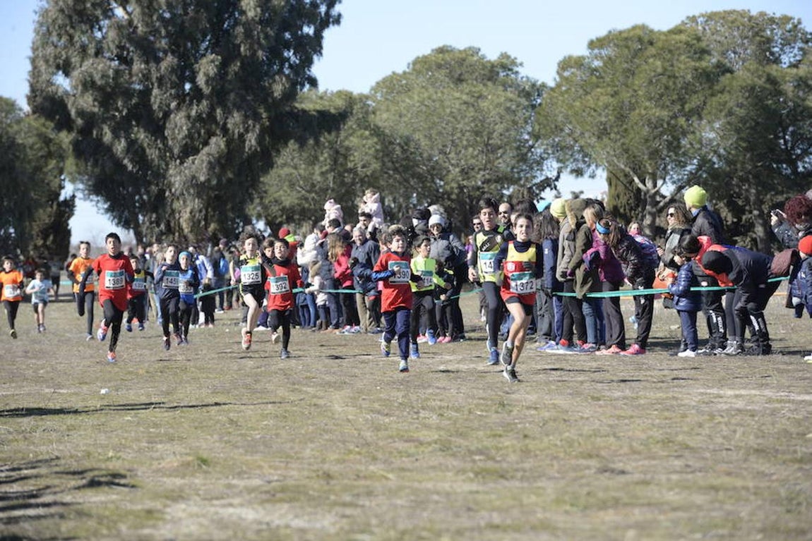 El cross de Sonseca, en imágenes